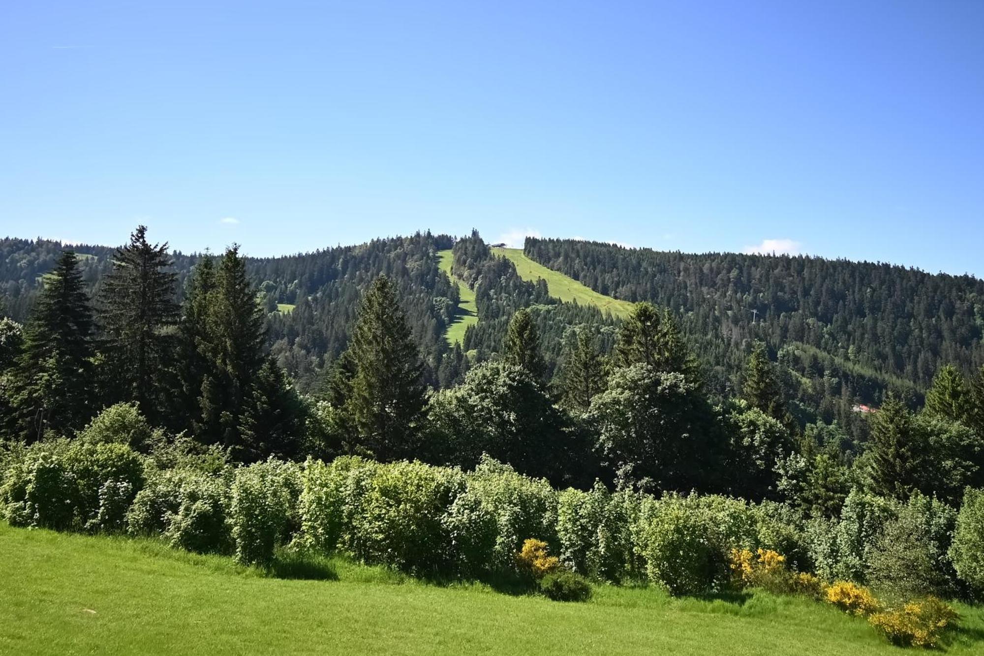 Апартаменти Le Nid Des Vosges - Appt Vue Montagne Жерарме Екстер'єр фото